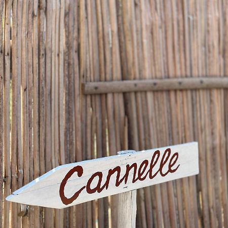 Bungalows Des Tropiques Nosy-Be Ngoại thất bức ảnh