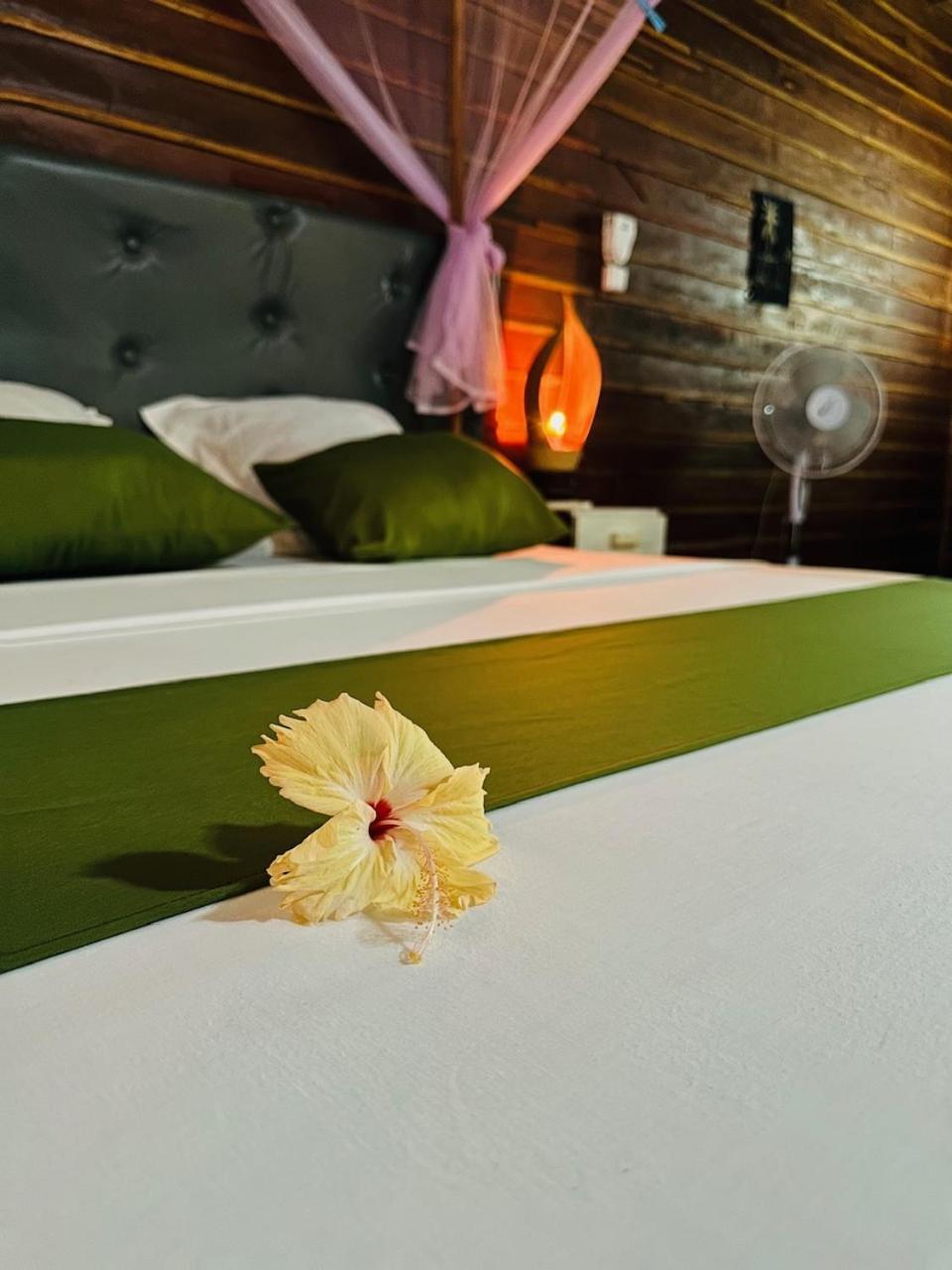 Bungalows Des Tropiques Nosy-Be Ngoại thất bức ảnh
